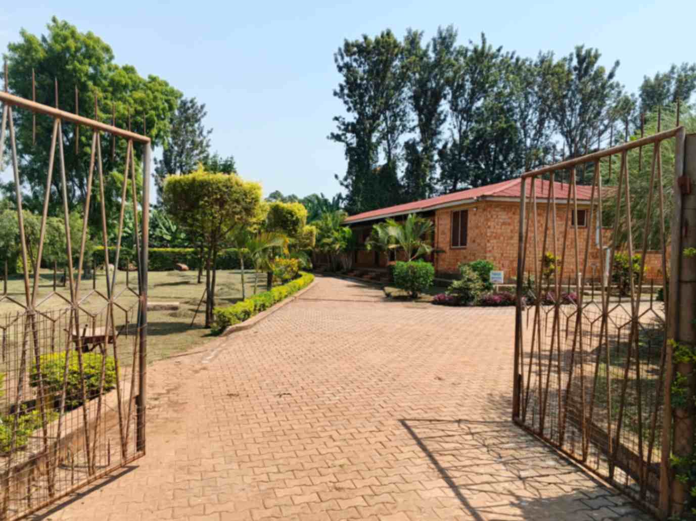 jpeg-optimizer_IMG_20251218_125245_526